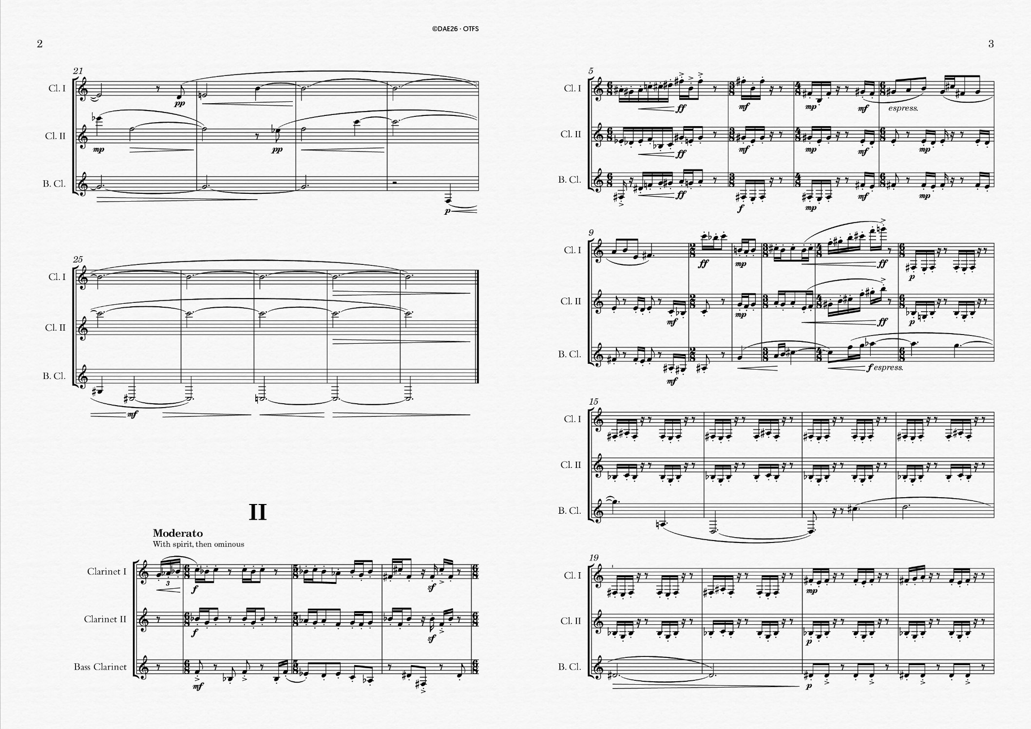 Preview of pages 2 and 3 (Panorama view only for visualization – separate in the PDF)